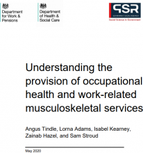 Understanding the provision of occupational health and work-related musculoskeletal services